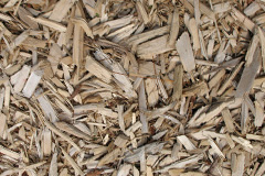 biomass boilers Skendleby Psalter